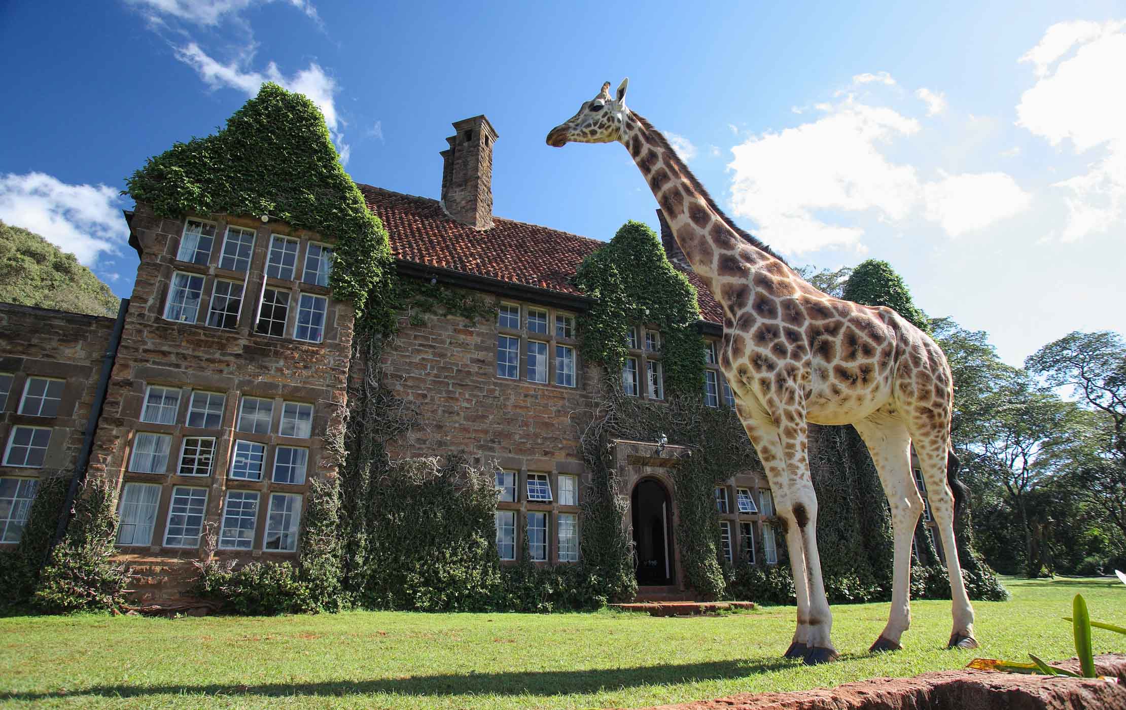 1 Night Of Wonder - Discovering The Magic Of Giraffe Manor
