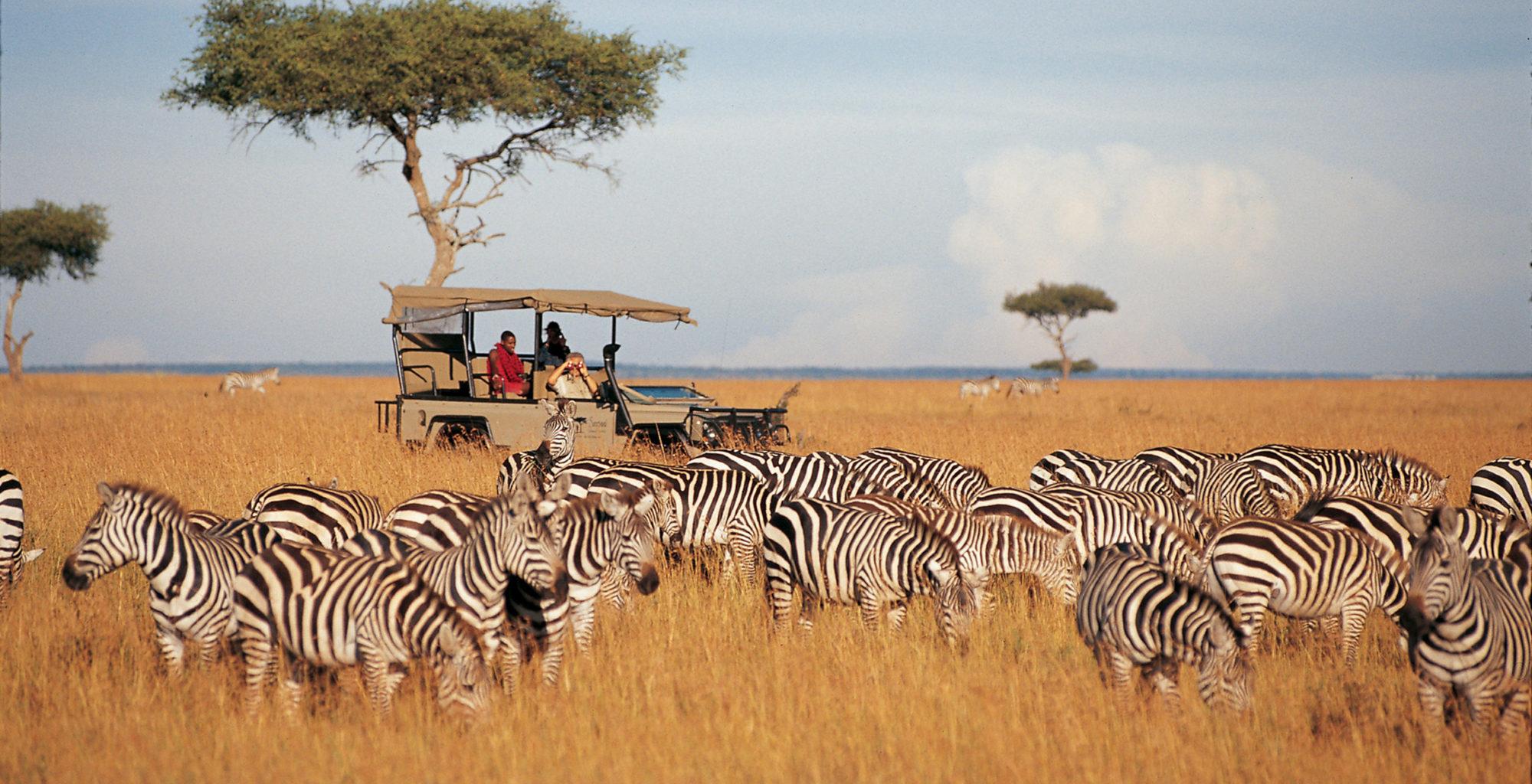 3 Days Safari: Samburu National Reserve's Majestic Wilderness