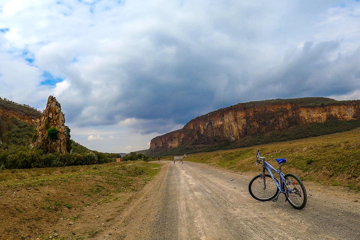 1-Day Cycling Safari: Exploring Hells Gate National Park