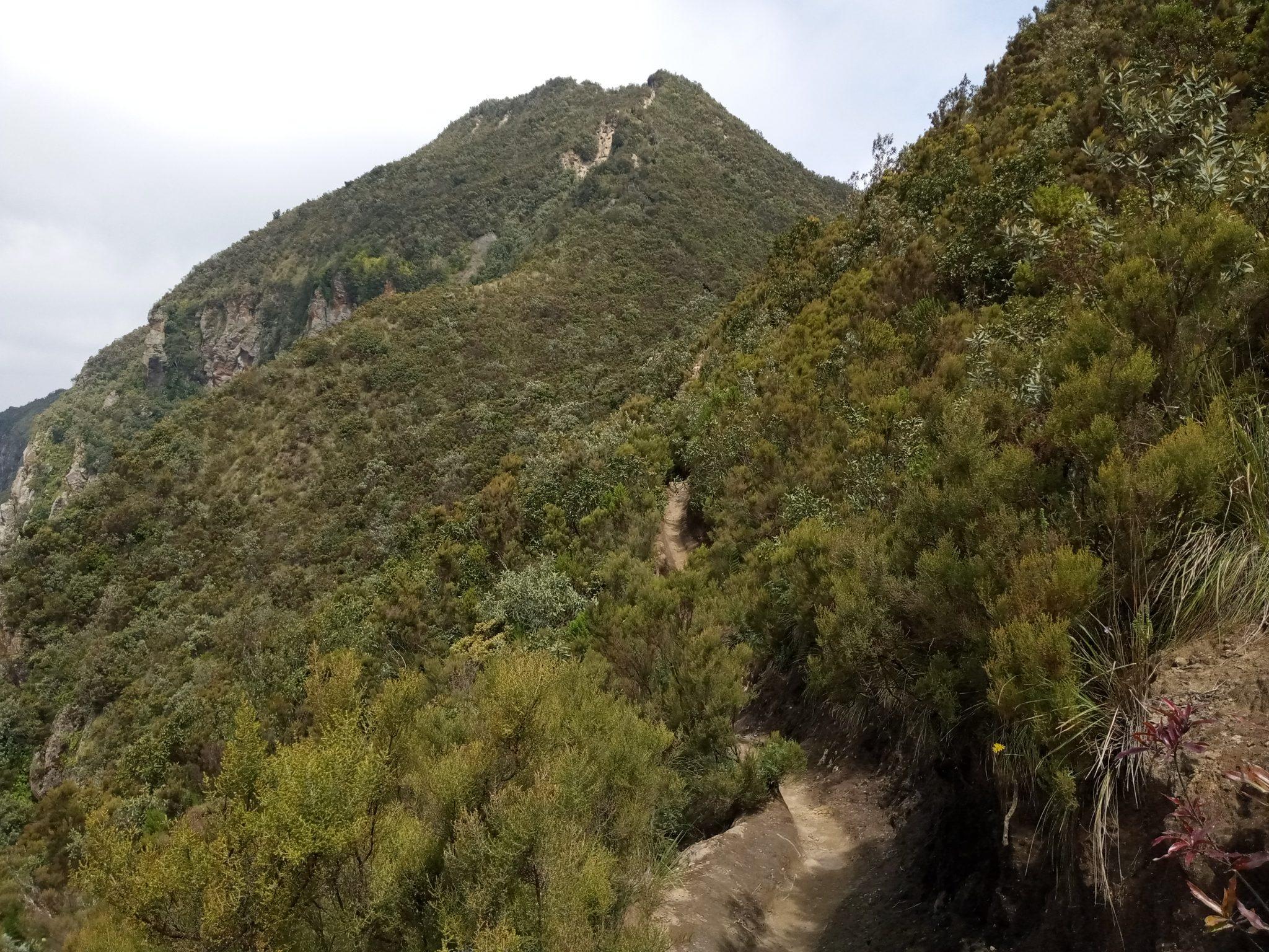 Full Day Trekking Adventure: Hiking Mt. Longonot