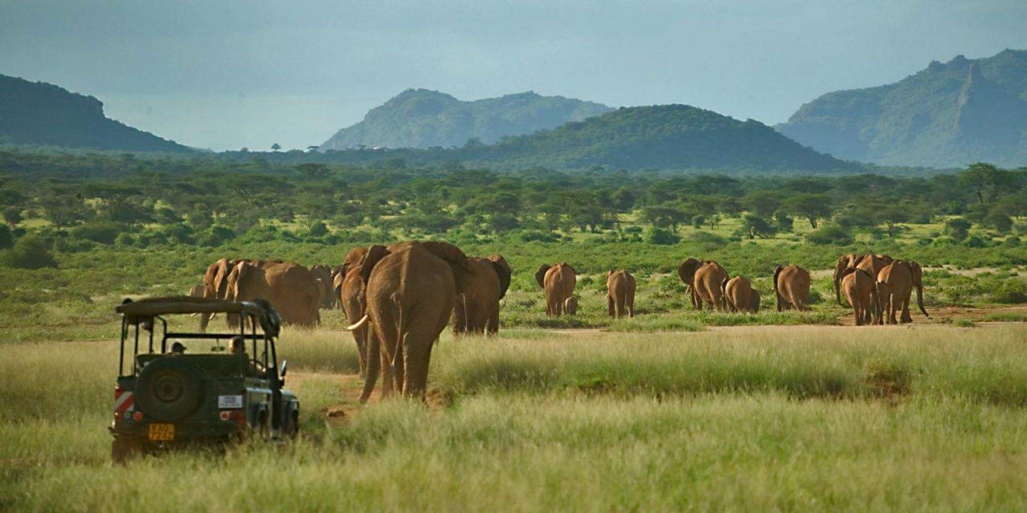 3 Days Safari: Samburu National Reserve's Majestic Wilderness
