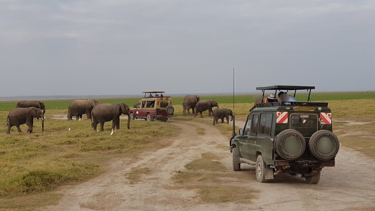  5 Days Of Wild Fun: Amboseli & Two Tsavo Parks In Kenya
