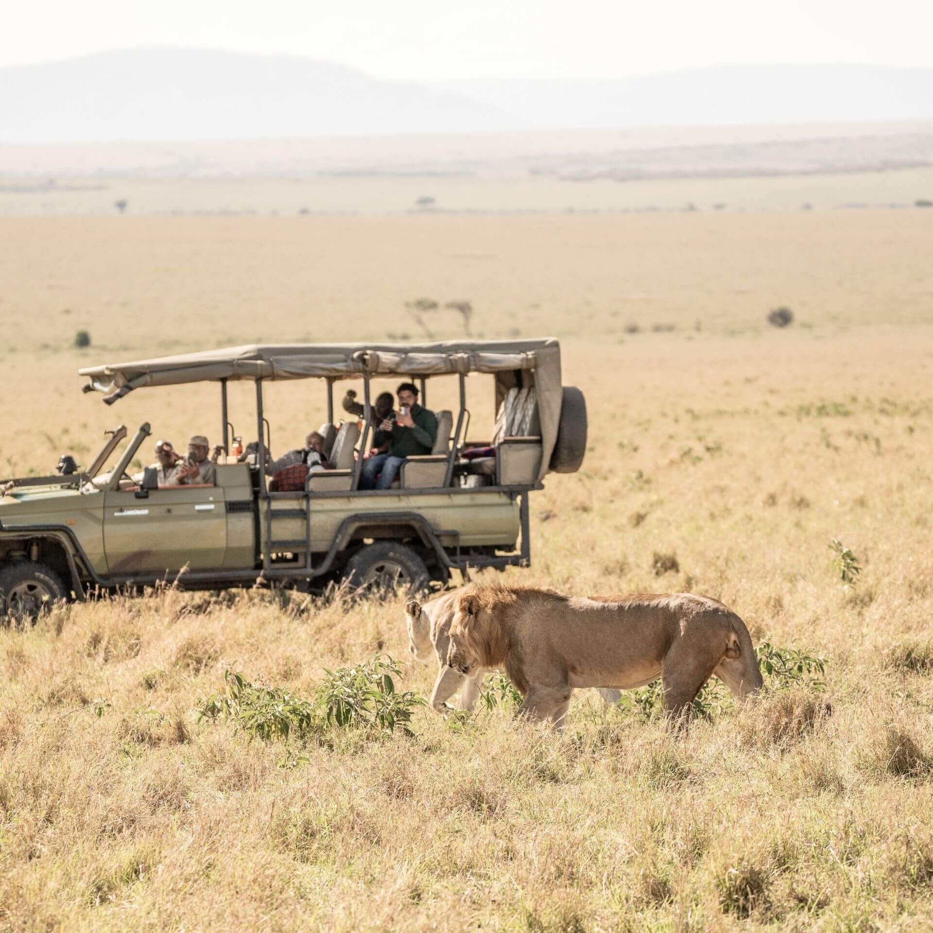 3Days 2Nights Maasai Mara Safari Experience